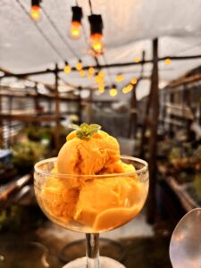 Universo dos Gelatos: Tradição Italiana e Adaptações Brasileiras